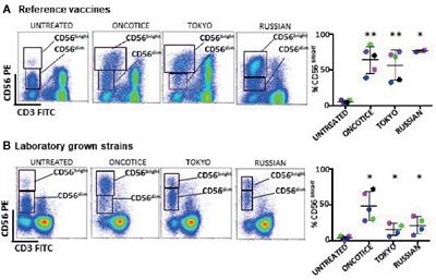 Natural Killer Anti-Tumor Activity Can Be Achieved by In Vitro Incubation With Heat-Killed BCG